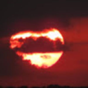 Meet your Posher, Eli